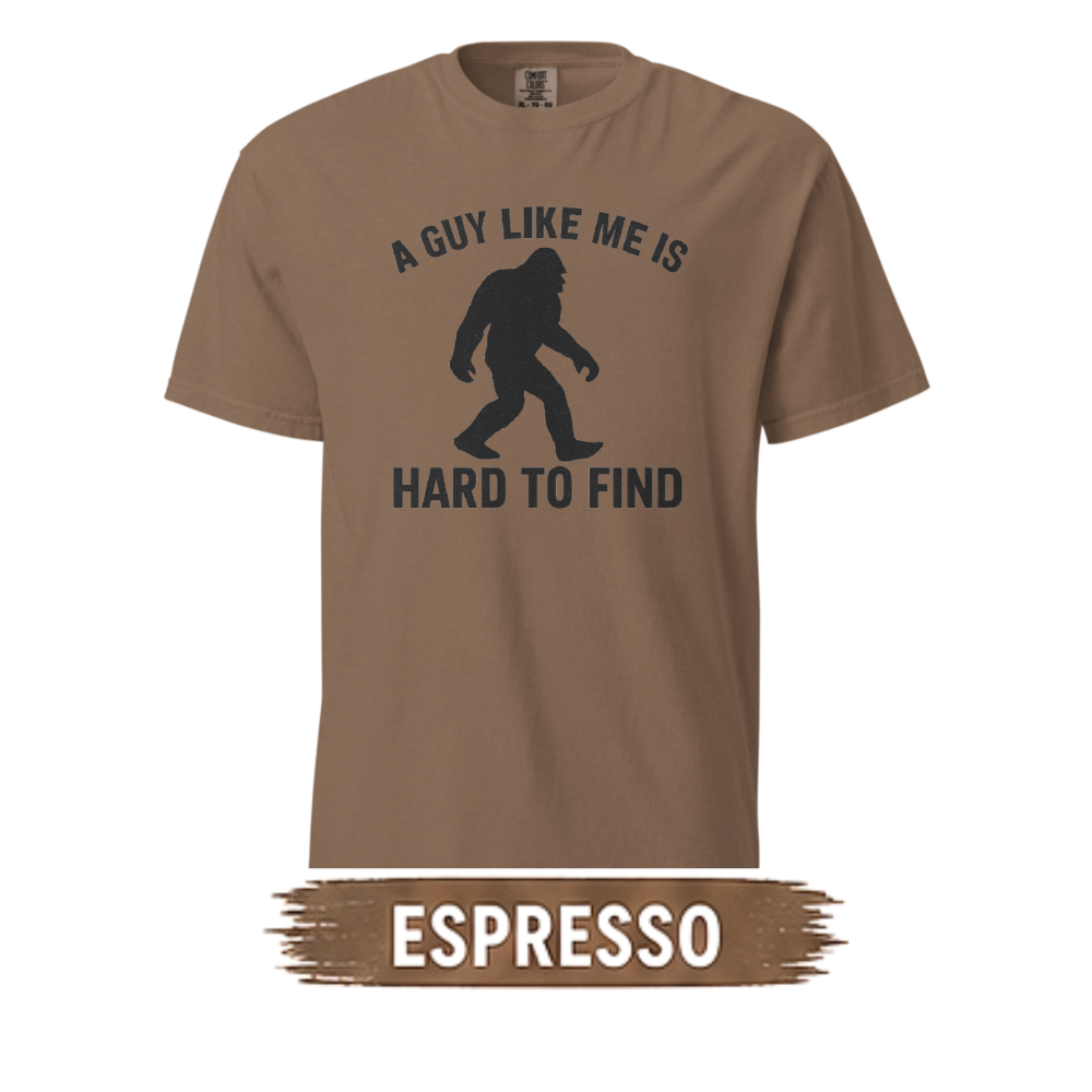 a-guy-like-me-comfort-colors-1717-unisex-heavyweight-tee-espresso