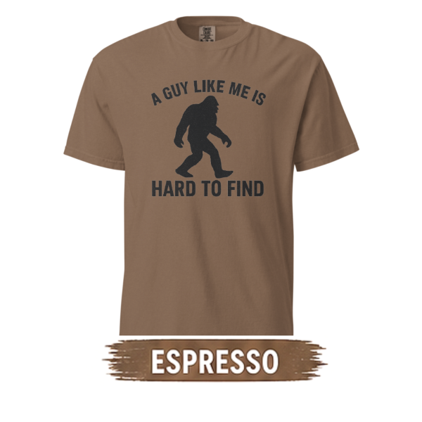 a-guy-like-me-comfort-colors-1717-unisex-heavyweight-tee-espresso